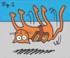 提出黄油猫悖论是制作永动机的关键(黄油猫悖论永动机)