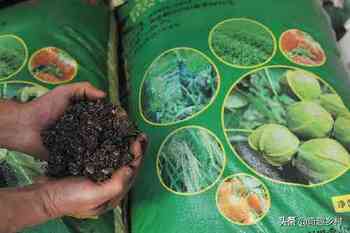 腐殖酸类肥料属于有机肥吗（腐殖酸类肥料怎么使用）